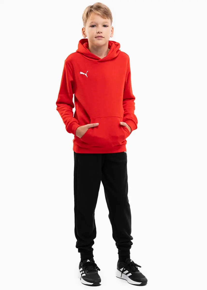 Puma komplet dziecięcy teamGOAL 23 Casuals Hoody Jr 656711 01/656713 03