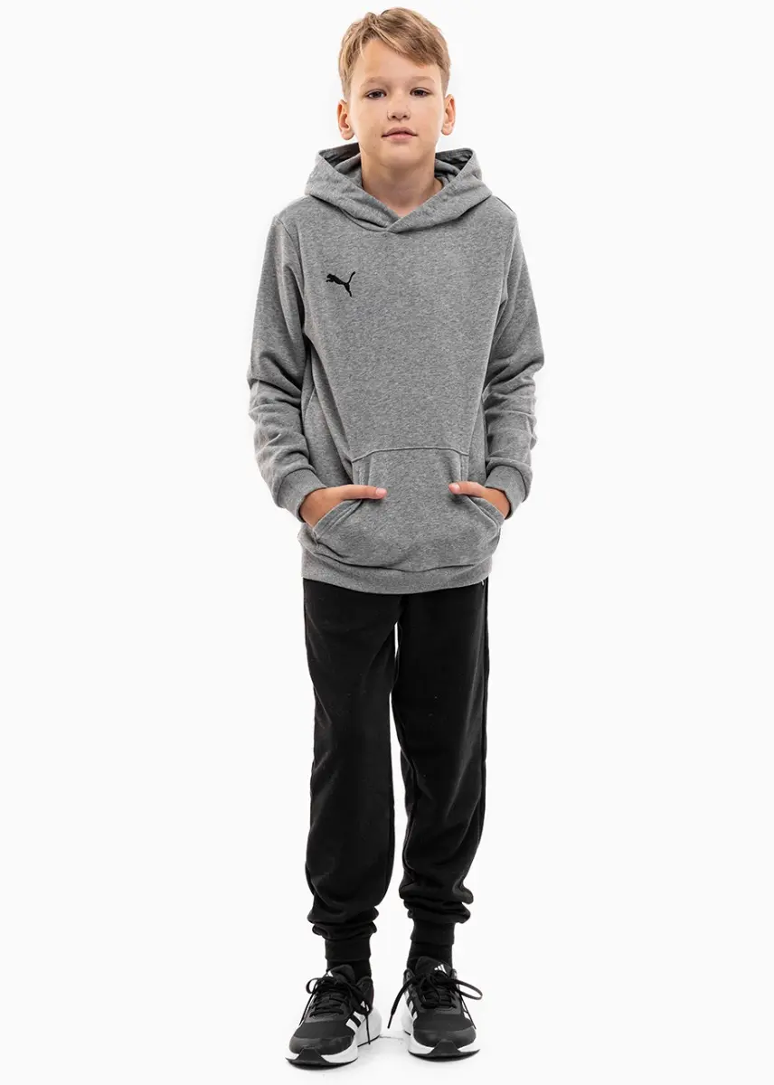 Puma komplet dziecięcy teamGOAL 23 Casuals Hoody Jr 656711 33/656713 03