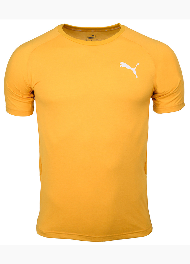 Puma Koszulka męska Evostripe Lite Tee 581534 25 Puma Koszulka męska Evostripe Lite Tee 581534 25