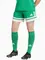 Zdjęcie Spodenki damskie adidas Squadra 25 JN7483 wariantu produktu