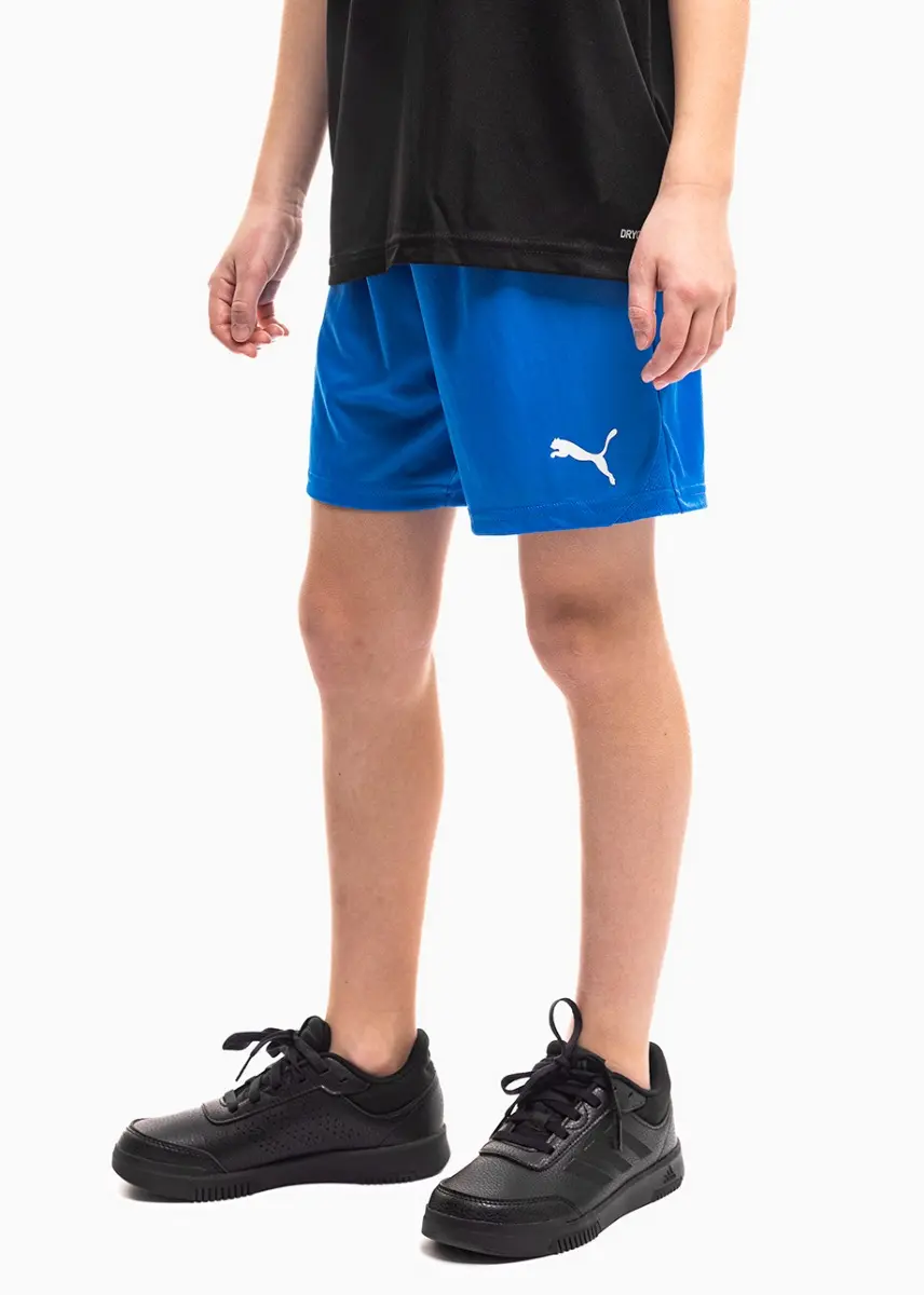 Spodenki dla dzieci Puma Team Goal 705753 02
