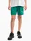 Zdjęcie Spodenki dla dzieci Puma teamLIGA Shorts Jr 704931 05 wariantu produktu