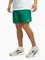 Zdjęcie Spodenki sportowe męskie Nike Club FN3307 365 wariantu produktu