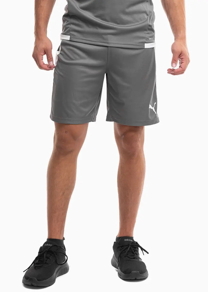 Spodenki męskie Puma teamLIGA 704924 13