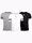 Zdjęcie PUMA Zestaw koszulek dziecięcych teamRISE Jersey Jr 704938 04/13/03 wariantu produktu